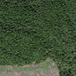 Satellite imagery of Mount Attree, CA