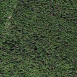Satellite imagery of Mount Attree, CA