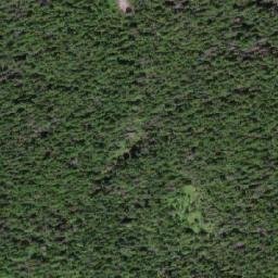 Satellite imagery of Mount Attree, CA
