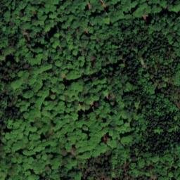 Satellite imagery of Scheelsberg, DE