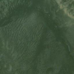 Satellite imagery of Tree Bluff, CA