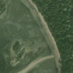 Satellite imagery of Tree Bluff, CA
