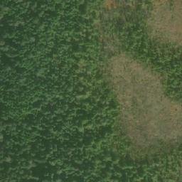 Satellite imagery of Tree Bluff, CA