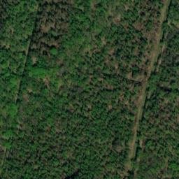 Satellite imagery of Salzhaken, DE