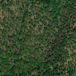 Satellite imagery of Salzhaken, DE