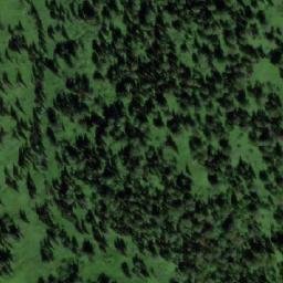 Satellite imagery of Рассоха, RU