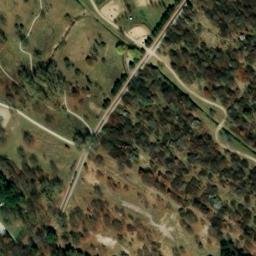 Satelita