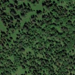 Satellite imagery of Сосновка, RU