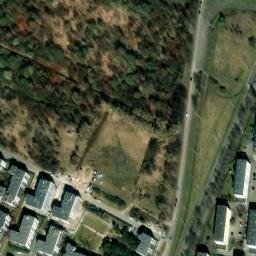 Satelita