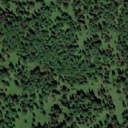 Satellite imagery of Сосновка, RU