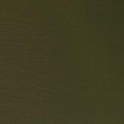 Satellite imagery of Leuscheort, DE