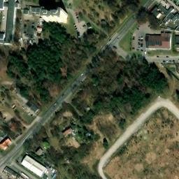 Satelita