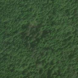 Satellite imagery of Pepin Point, CA