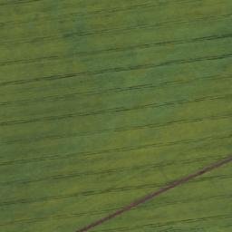 Satellite imagery of Редколесье, KZ
