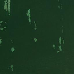 Satellite imagery of Cartine, DE