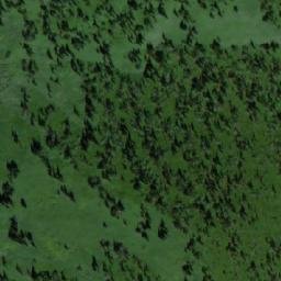 Satellite imagery of Кривая, RU