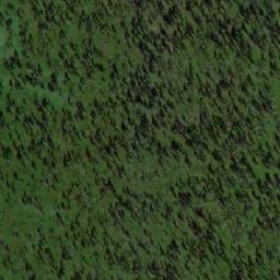 Satellite imagery of Кривая, RU