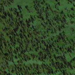 Satellite imagery of Кривая, RU