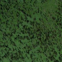 Satellite imagery of Кривая, RU