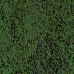Satellite imagery of Кривая, RU