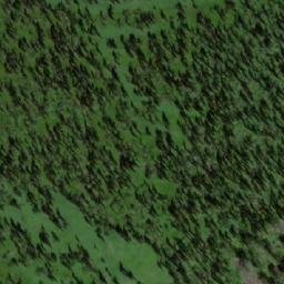 Satellite imagery of Кривая, RU