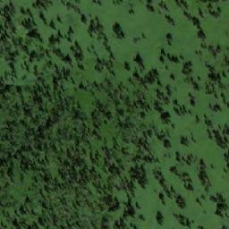Satellite imagery of Кривая, RU