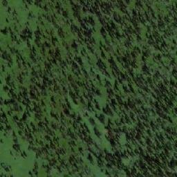 Satellite imagery of Кривая, RU