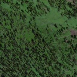Satellite imagery of Кривая, RU