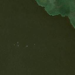 Satelita