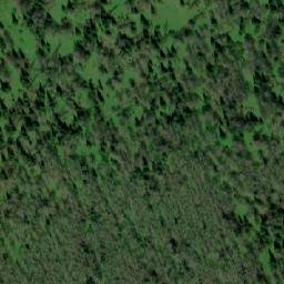 Satellite imagery of Сморыгина, KZ