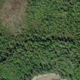 Satellite imagery of Deans Point, CA