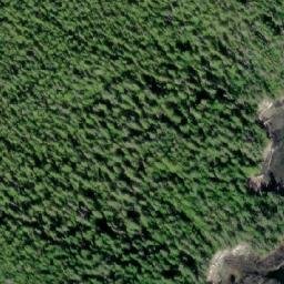 Satellite imagery of Deans Point, CA