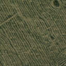 Satellite imagery of Семенушкино, KZ