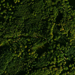 Satelita