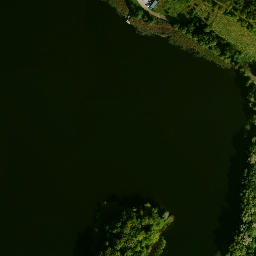 Satelita