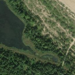 Satelita
