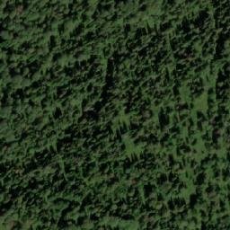 Satellite imagery of Бол. Гусиха, KZ
