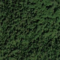 Satellite imagery of Бол. Гусиха, KZ