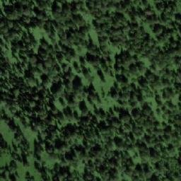 Satellite imagery of Березовая, RU