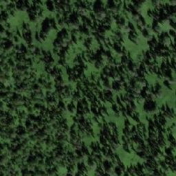 Satellite imagery of Березовая, RU