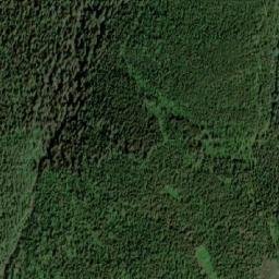 Satellite imagery of Saxon Ridge, CA