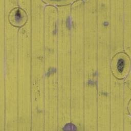 Satellite imagery of Trumpenberg, DE