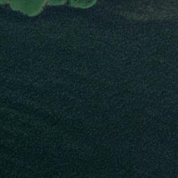 Satellite imagery of Burgwall, DE