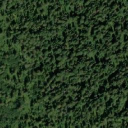 Satellite imagery of Бол. Гусиха, KZ