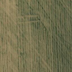 Satellite imagery of Семенушкино, KZ