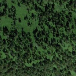 Satellite imagery of Березовая, RU