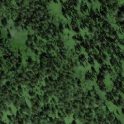 Satellite imagery of Березовая, RU