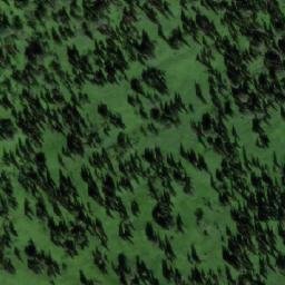 Satellite imagery of Березовая, RU