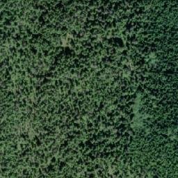 Satellite imagery of Forceman Ridge, CA