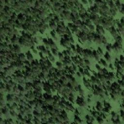 Satellite imagery of Березовая, RU
